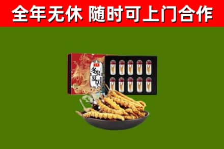 驿城回收冬虫夏草价格